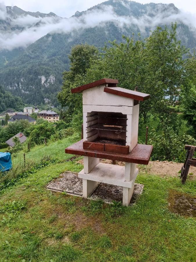 Ferienwohnung Im Nationalpark Gesaeuse Hieflau Εξωτερικό φωτογραφία